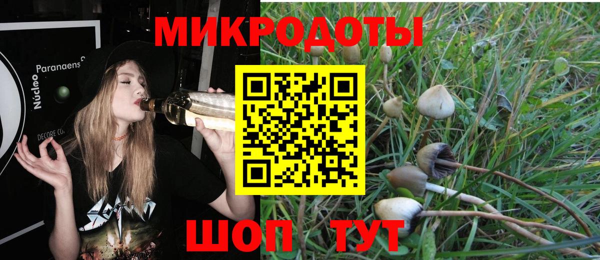Псилоцибиновые грибы прущие грибы Костомукша